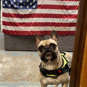 Meet your Posher, Richard